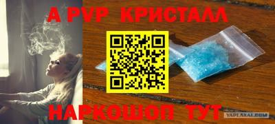 прущие грибы Ипатово